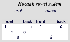 Hoocąk vowel system