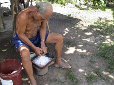 A man grating coconut by hand