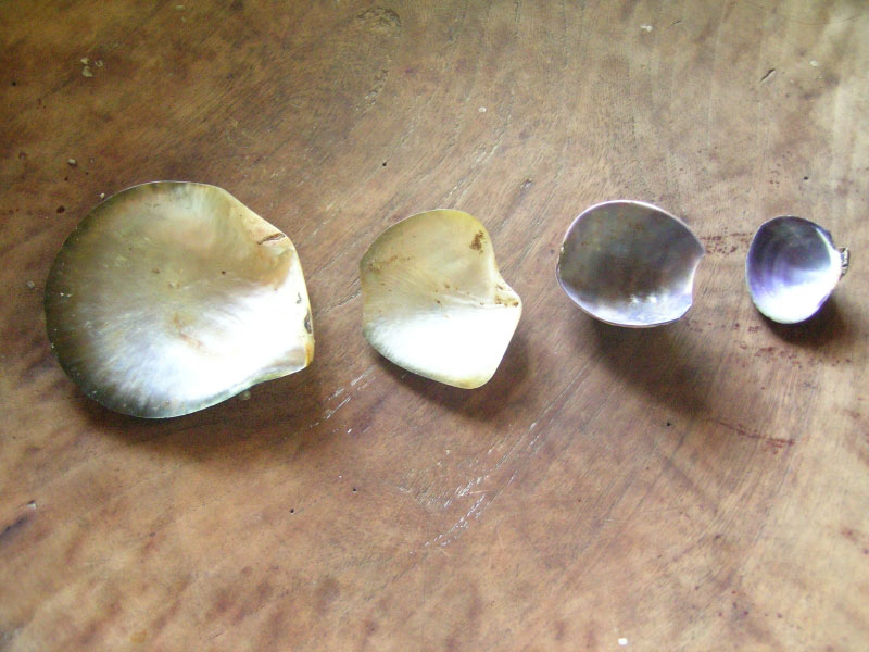 Shell knives