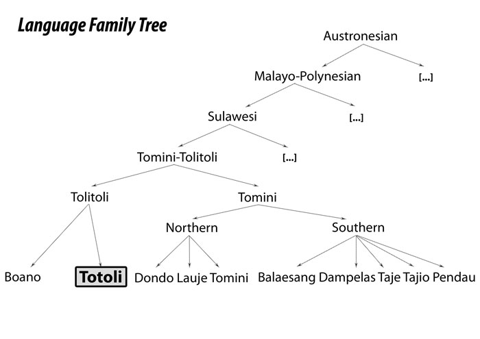 Commonly assumed genetic affiliation of Totoli