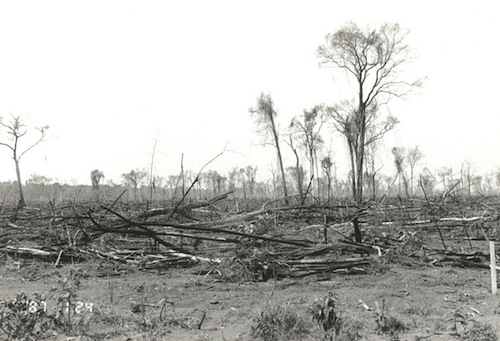 Photo 4_deforestation   KKBRPA10Jul0101-01