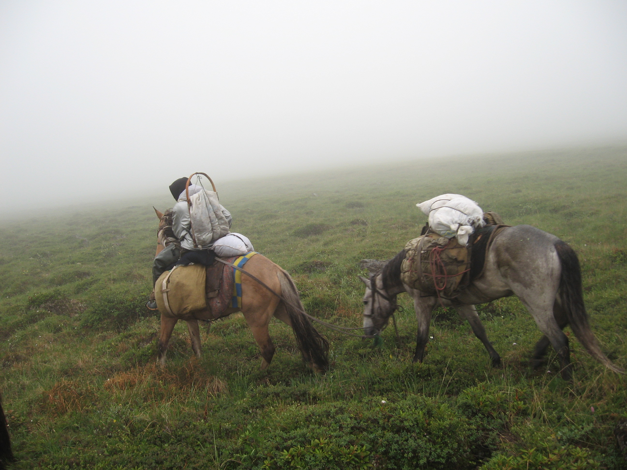 4_Moving_to_a_new_reindeer_herding_camp