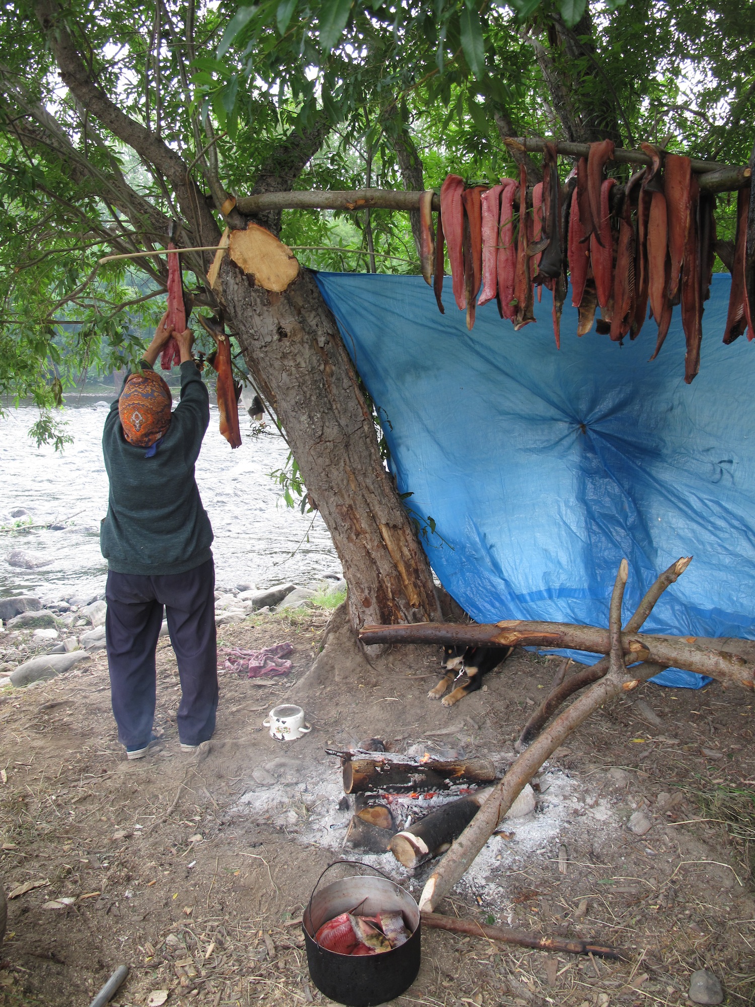 5_Preserving_salmon_by_smoking_and_drying