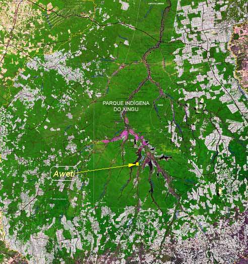 Deforestation around the Xingú Park and location of the Awetí village