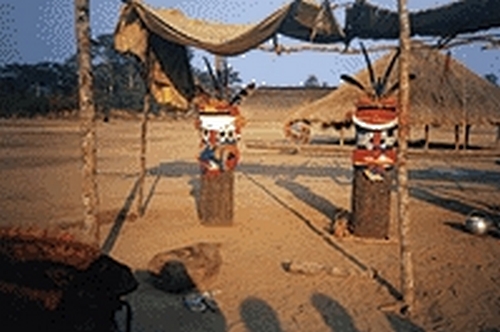 Kuarup trunks symbolizing deceased Awetí in 1998