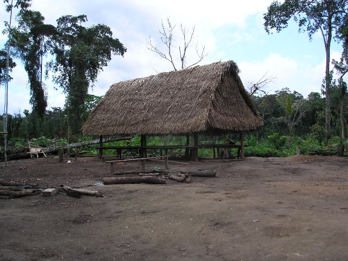 Casa cashinahua, San Martín/Purús