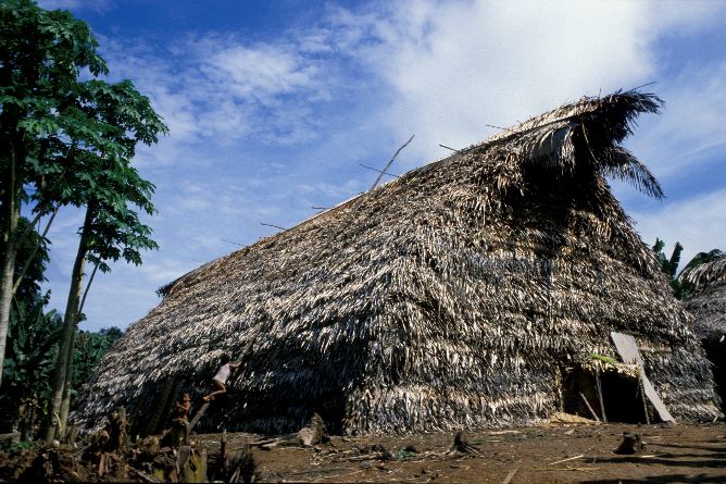 A traditional Panoan house