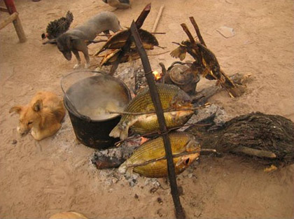 roasting fish