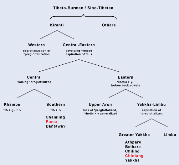Graph: Sino-Tibetan Family of Languages