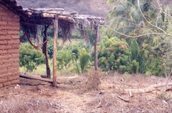 Hammock in country patio