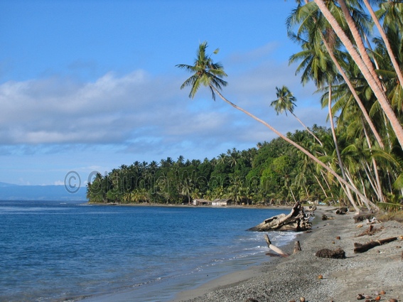 beach