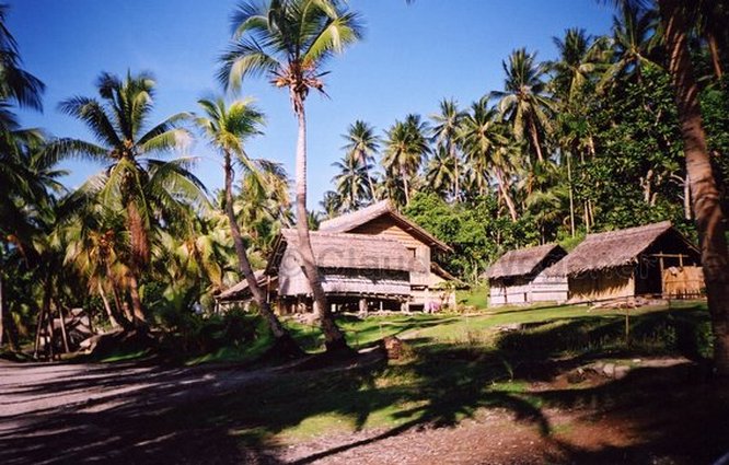 Traditional houses