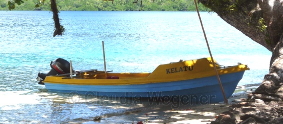 The project canoe Kelatu