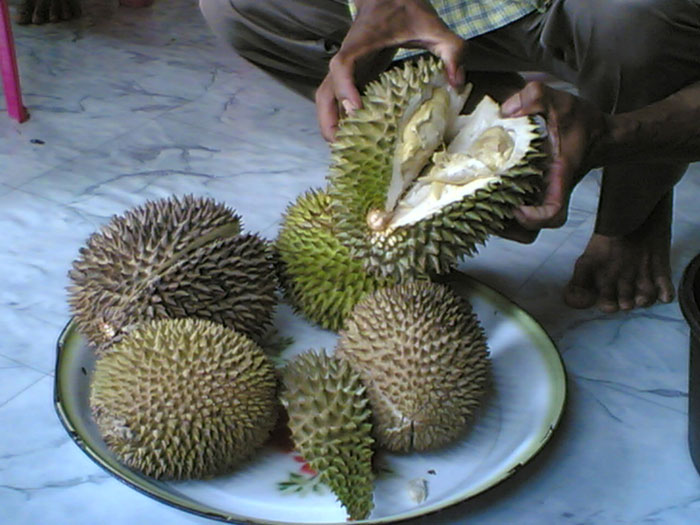 Durian fruit