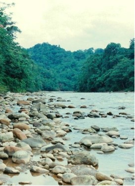 río con un montón de piedras en la orilla